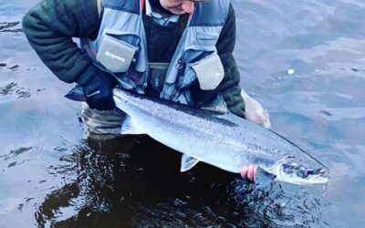 AN OPENING DAY SALMON CAUGHT ON THE TAY SYSTEM AND MORE STUNNING SPRINGERS FOLLOW!