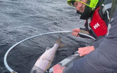 OVER TWO FISH A DAY, A FANTASTIC PRIZE AND FIRST SALMON!