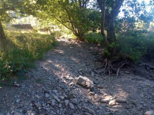 Below the bridge down to the Earn is completely dry