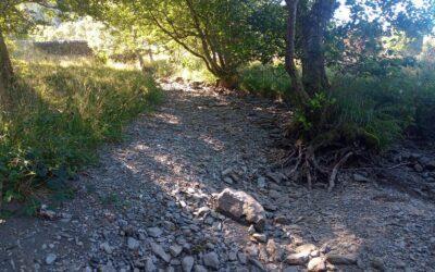 Abstraction Suspended For Irrigation on Eden