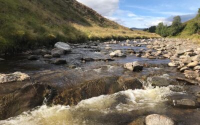 Fin Clipping River Garry