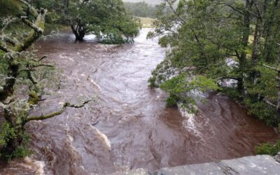River Almond Spate