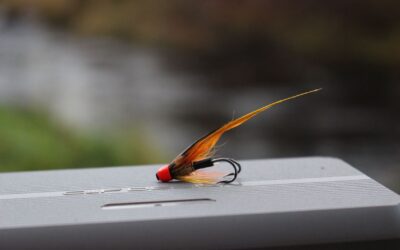 BRIGHT CONDITIONS AND HOT WEATHER MAKE IT TOUGH GOING ON THE TAY!