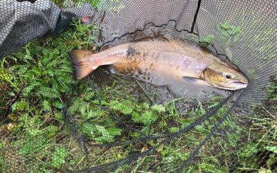 EX HURRICANE LEE, A THIRTY POUNDER AND THE PERFECT 60TH BIRTHDAY PRESENT!