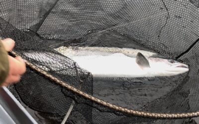 ISHA AND JOCELYN LEAD TO VERY LITTLE MEANINGFUL FISHING BEING DONE ON THE TAY!