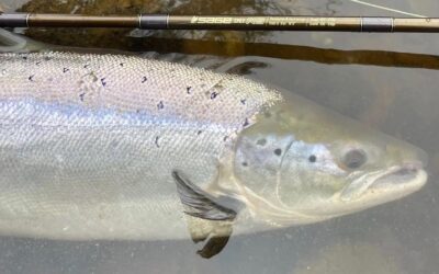 MORE DAM SUCCESS, A CASTING COURSE COMES TO FRUITION AND TWENTY POUNDERS!