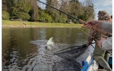 FATHER & SON TEAM CRACK LOCH TAY, A TWENTY FOUR POUNDER AND A BELATED 60TH BIRTHDAY PRESENT!