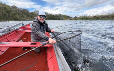 IMPROVING CATCHES ON THE TAY SYSTEM AS WE MOVE THROUGH APRIL!