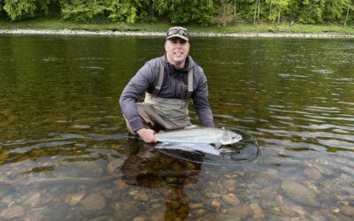 SOME STUNNING SPRING SALMON CAUGHT ON THE TAY SYSTEM!
