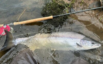 TOUGH GOING ON THE TAY!