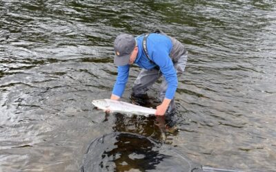 SOARING TEMPERATURES AND SPARKLING SUNSHINE MAKE IT TOUGH GOING ON THE TAY!