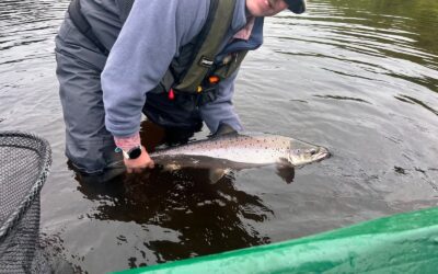 ANGLERS WAIT FOR THE SUMMER RUN TO GET INTO FULL SWING ON THE TAY!