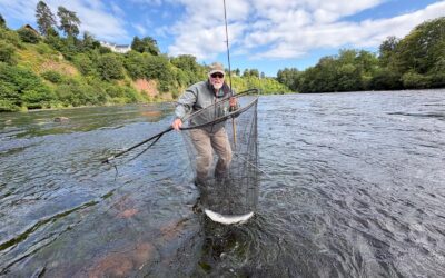 CATCHES IMPROVE SIGNIFICANTLY ON THE RIVER TAY IN CONJUNCTION WITH BETTER FISHING CONDITIONS!