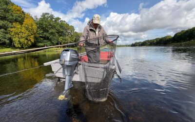 SOME LOVELY FISH CAUGHT FROM THE TAY SYSTEM AS WE HEAD TOWARDS THE END OF AUGUST!